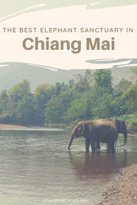 Click this pin to read all about the best elephant sanctuary in Chiang Mai, Thailand. Elephant Nature Park is one of the true few elephant rehabilitation centers in Thailand, and one the top things to do in Chiang Mai and the best things to do in Thailand. | MonaCorona.com | #Thailand #ChiangMai #Travel #Bucketlist #Thingstodo #itinerary #elephants #elephantsanctuary #tailandia #traveltips #tips #ethical