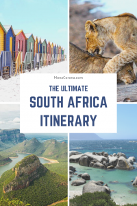 Click to read the ultimate 2 week South Africa Itinerary. Learn about the top things to do in Cape Town such as hiking lions head, table mountain, and exploring the best beaches in Cape Town. In this blog you'll also learn about where to stay in Cape Town / Best hotels in Cape Town & more. This South Africa travel guide also includes a garden route itinerary, Stellenbosch (+ Stellenbosch hotels) as well as a luxury safari in Kruger National Park! #southafrica #capetown #travel #africa #itinerary