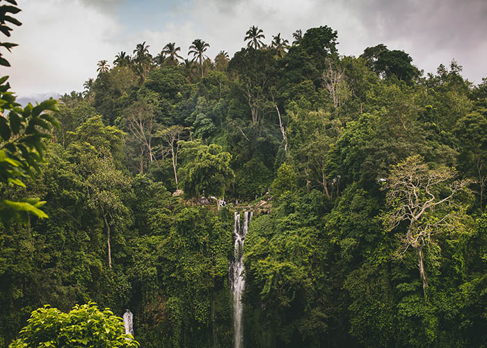 Sekumpal waterfall.jpg